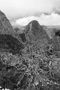 2007_Feb_24_Gomera_9578_modi_533x800_B_W_LR