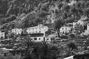 2007_Feb_25_Gomera_9615_modi_800x533_B_W_LR